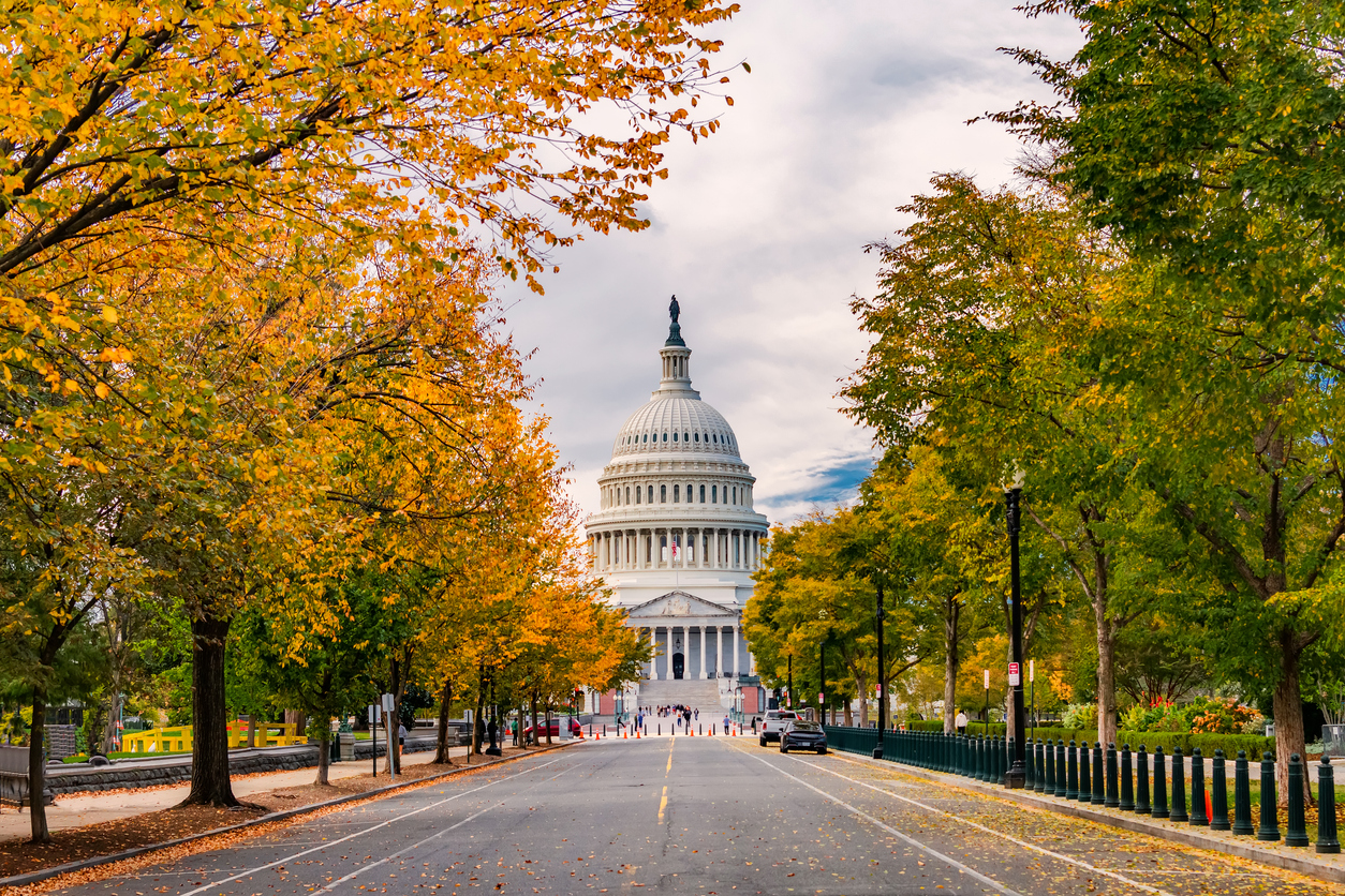 The U.S. Capitol Building viewed from the end of a tree-lined street during autumn.