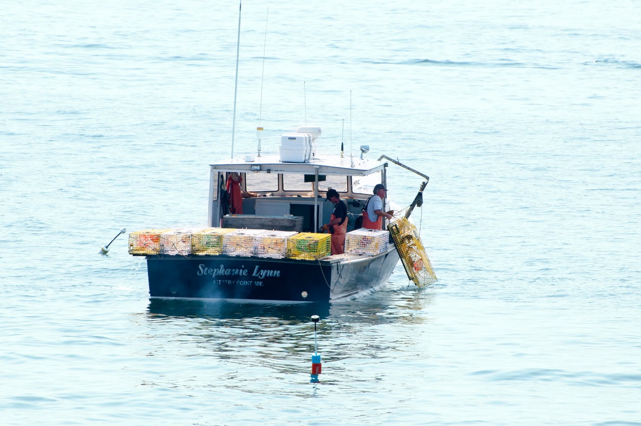 Two fishermen on the boat Stephanie Lynn from Kittery Point, ME, haul a yellow lobster trap from the water during their food trips.
