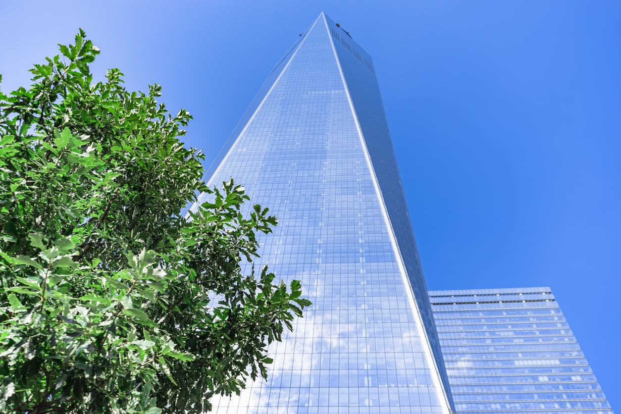 One World Trade Center viewed from below, framed by a leafy green tree in the foreground of this popular tourist attraction.