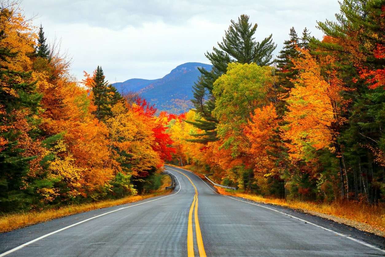 An empty road winds through a forest of vibrant autumn foliage, offering one of the best places to hike in the fall as it leads toward a distant mountain.