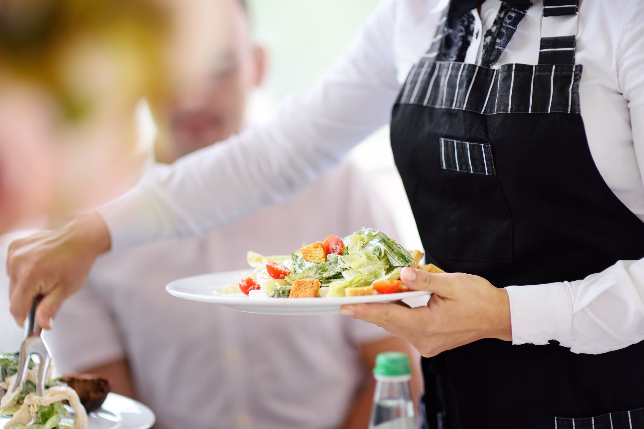 A server in a black apron serves a plate of Caesar salad to a customer.