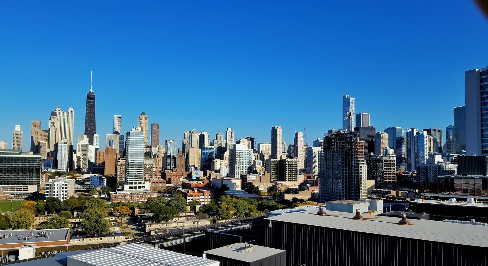 Chicago skyline under a clear blue sky, featuring numerous tall buildings and skyscrapers—perfect for trips where one great neighborhood blends with urban beauty, with trees and smaller structures in the foreground.