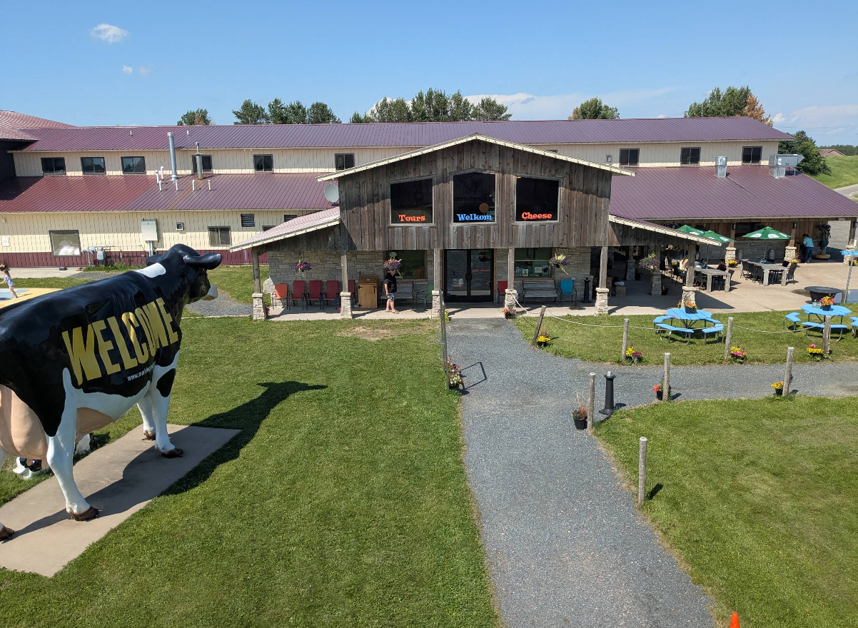 A large, rustic building for food trips labeled “Tours,” “Welkom,” and “Cheese,” with a gravel path leading to the entrance and a large statue of a cow in the foreground.