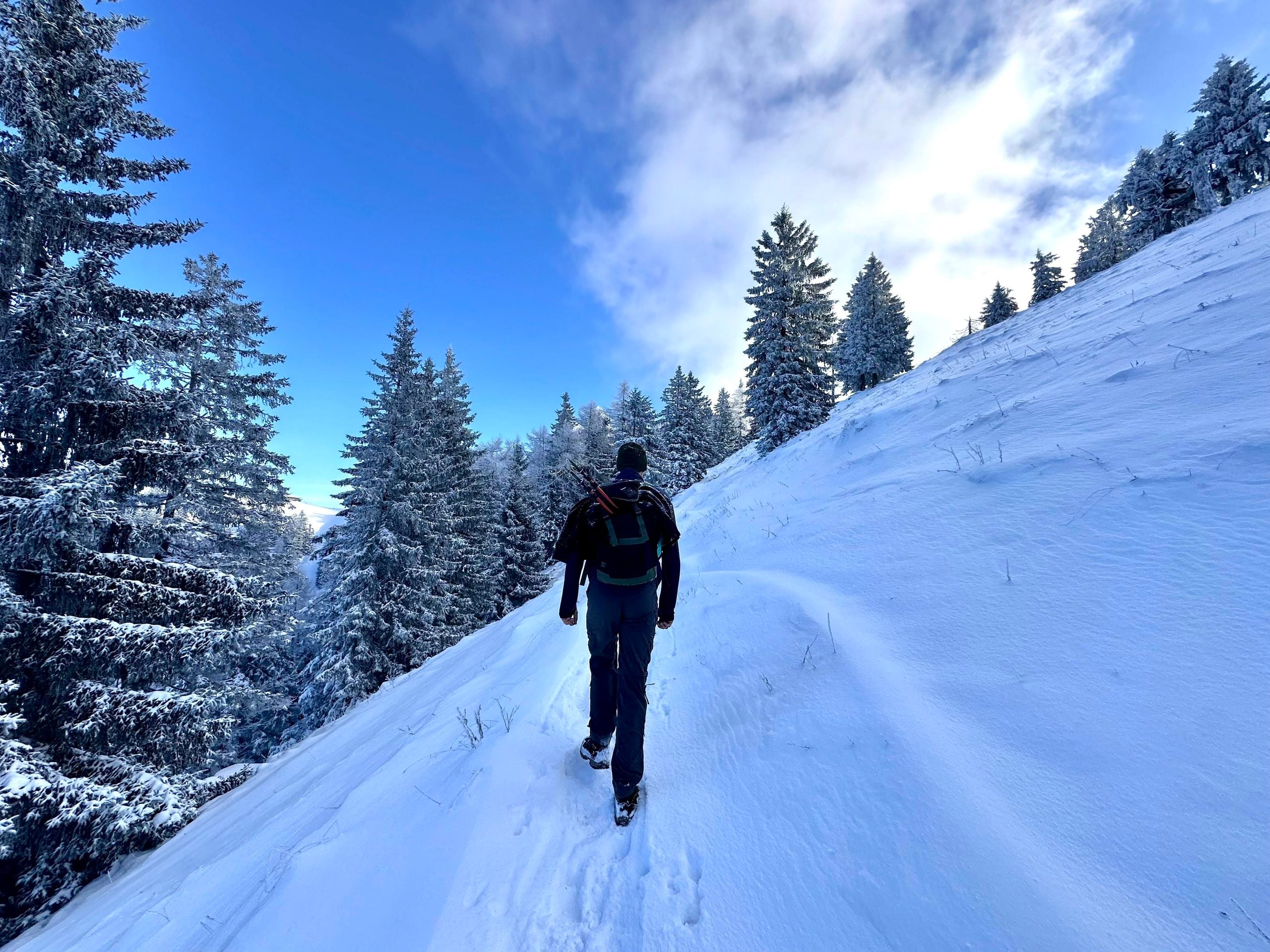 A hiker with a backpack and trekking poles walks along a snow-covered mountain trail surrounded by snow-dusted evergreen trees under a clear blue sky.
