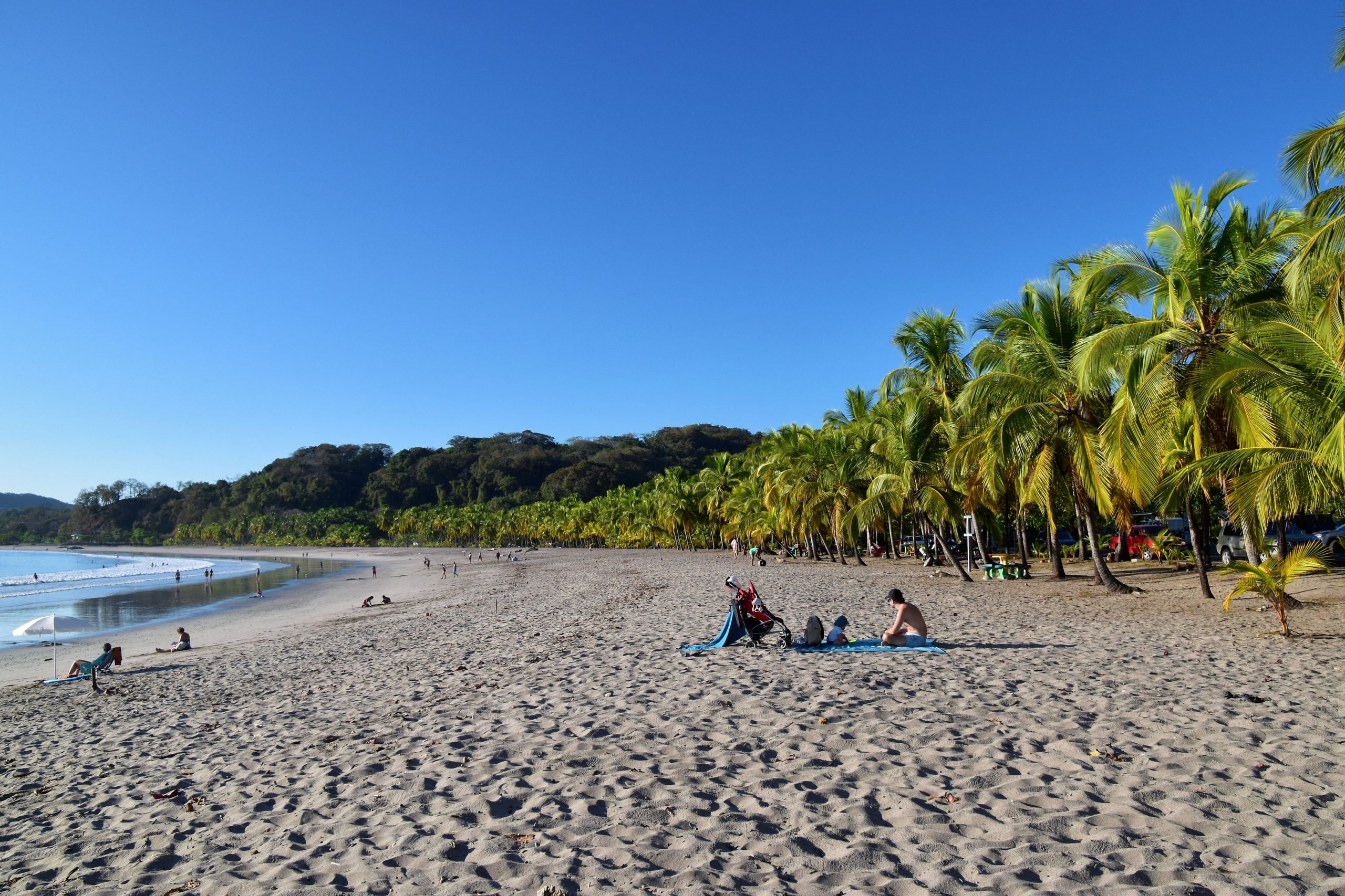 People relax and sunbathe on a sandy beach lined with palm trees. The sky is clear and blue, with gentle waves and distant hills in the background.
