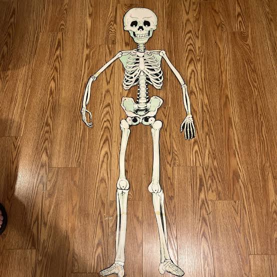 A jointed cardboard skeleton decoration lying flat on a wooden floor.