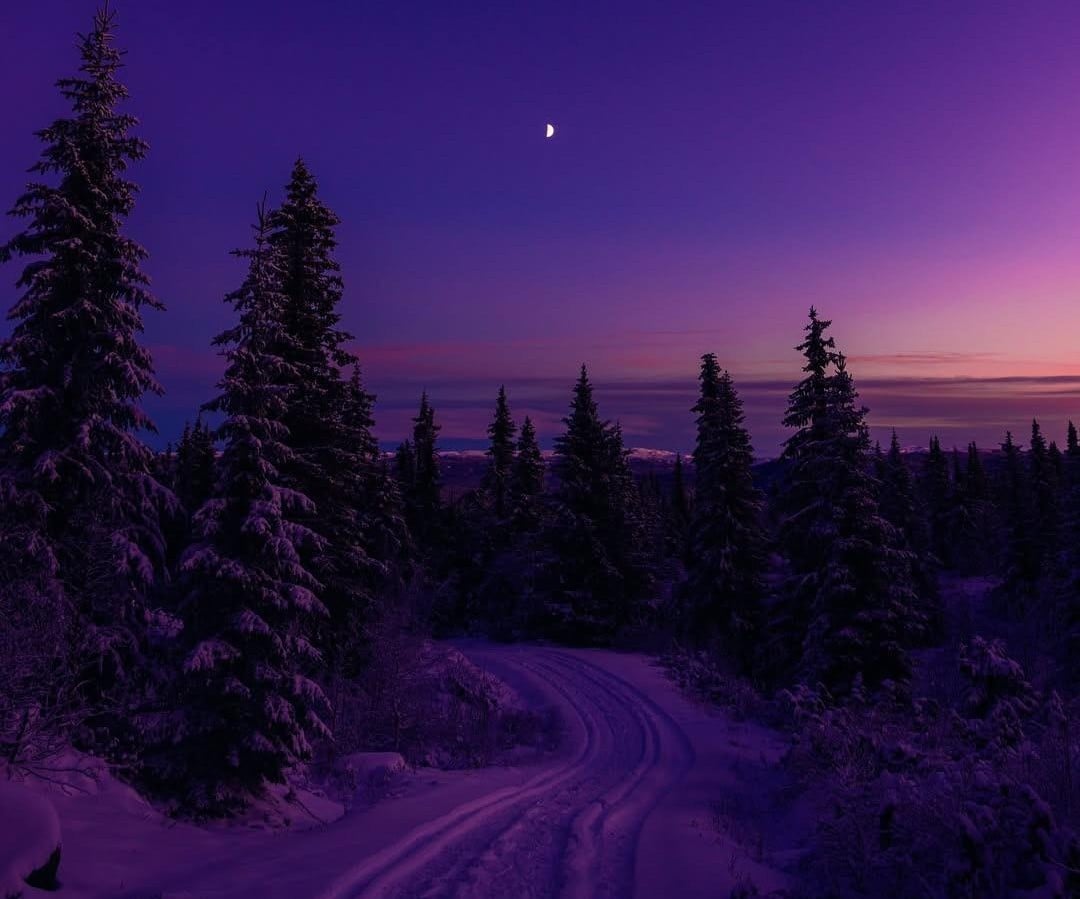 A snow-covered road winding through a forest of pine trees under a purple twilight sky with a crescent moon.