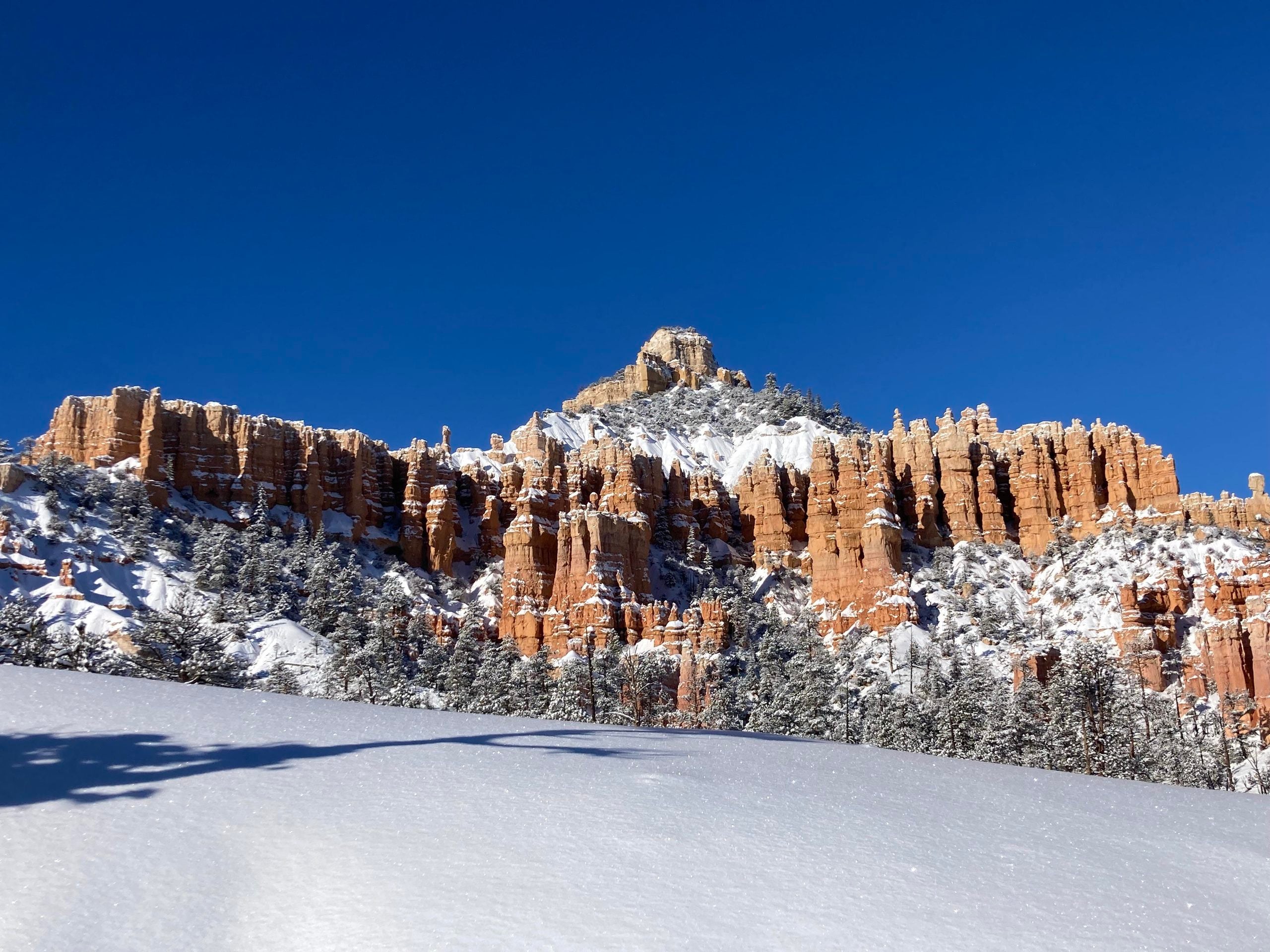 Snow-covered hoodoos and pine trees beneath a clear blue sky at Bryce Canyon.